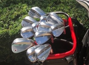 Wedge Evaluation Clinic, Saturday, March 26, 10 a.m.-Noon, 30-minute sessions #6137