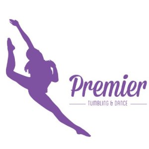 Premier Studio for Dance Scramble, Individual
