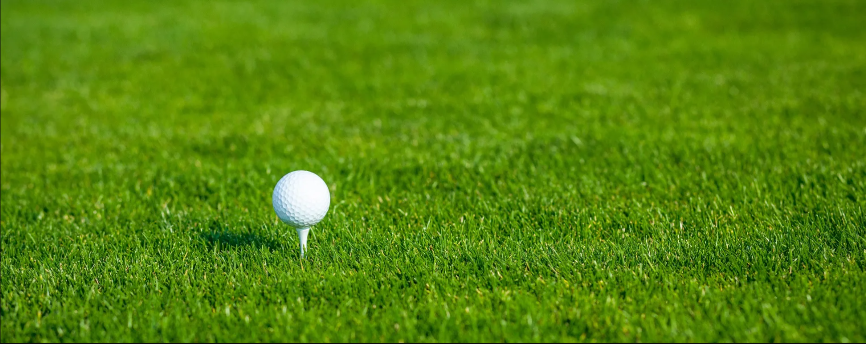 Image of golf ball on tee on grass.